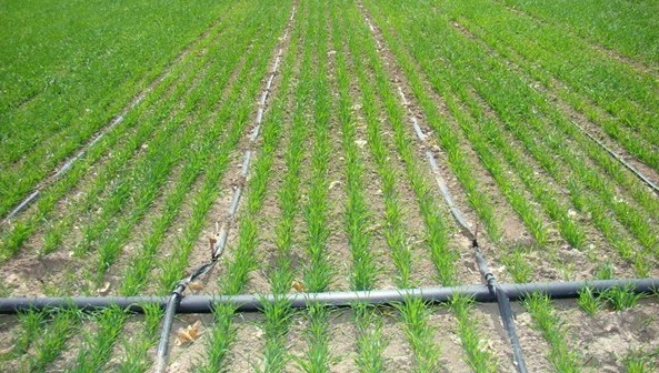 西宁灌溉管材